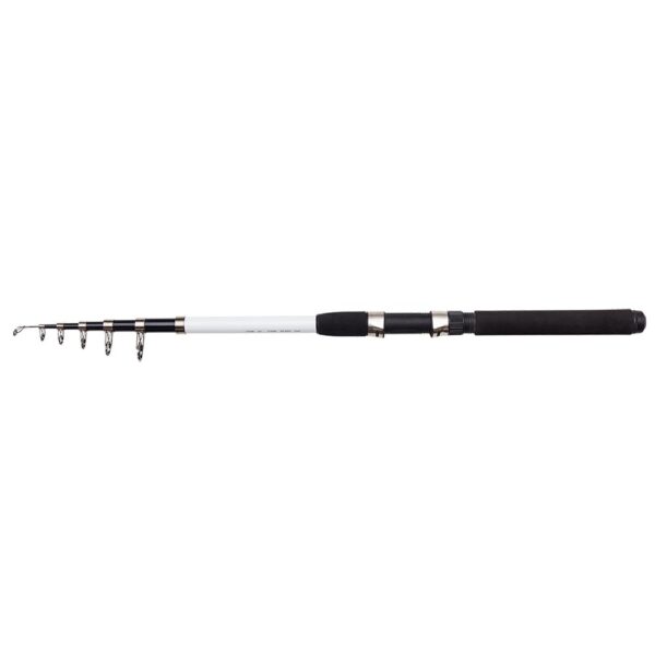 Dam Nova Expedition 10' 20-60gr - Teleskop Fiskestang
